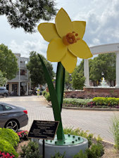 Roadside Image